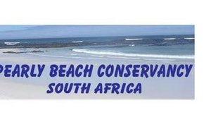 The bee all and end all